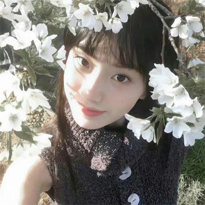 淑女宠爱