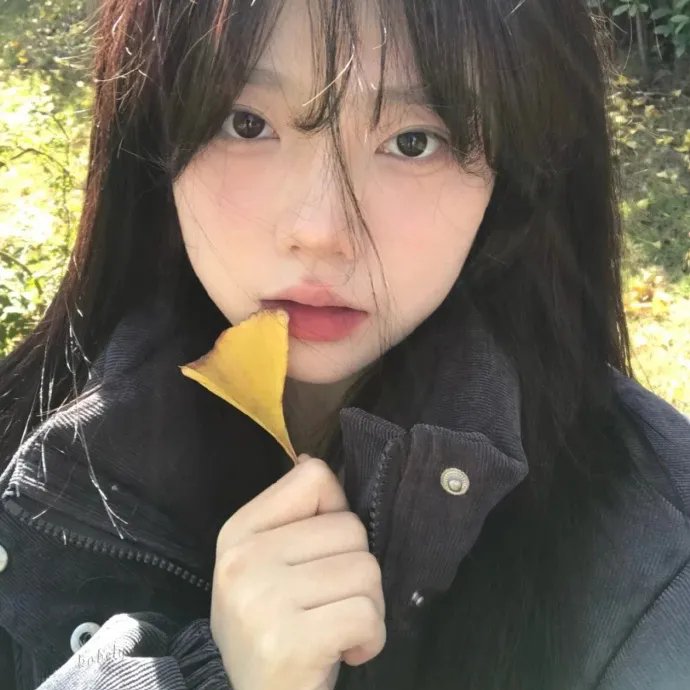 燕尾蝶